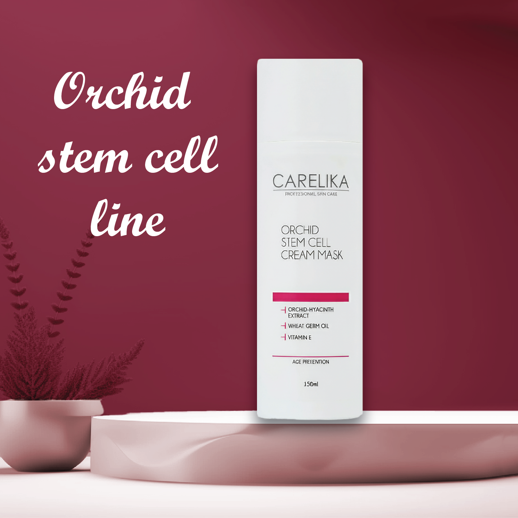 Orchid Stem Cell Line