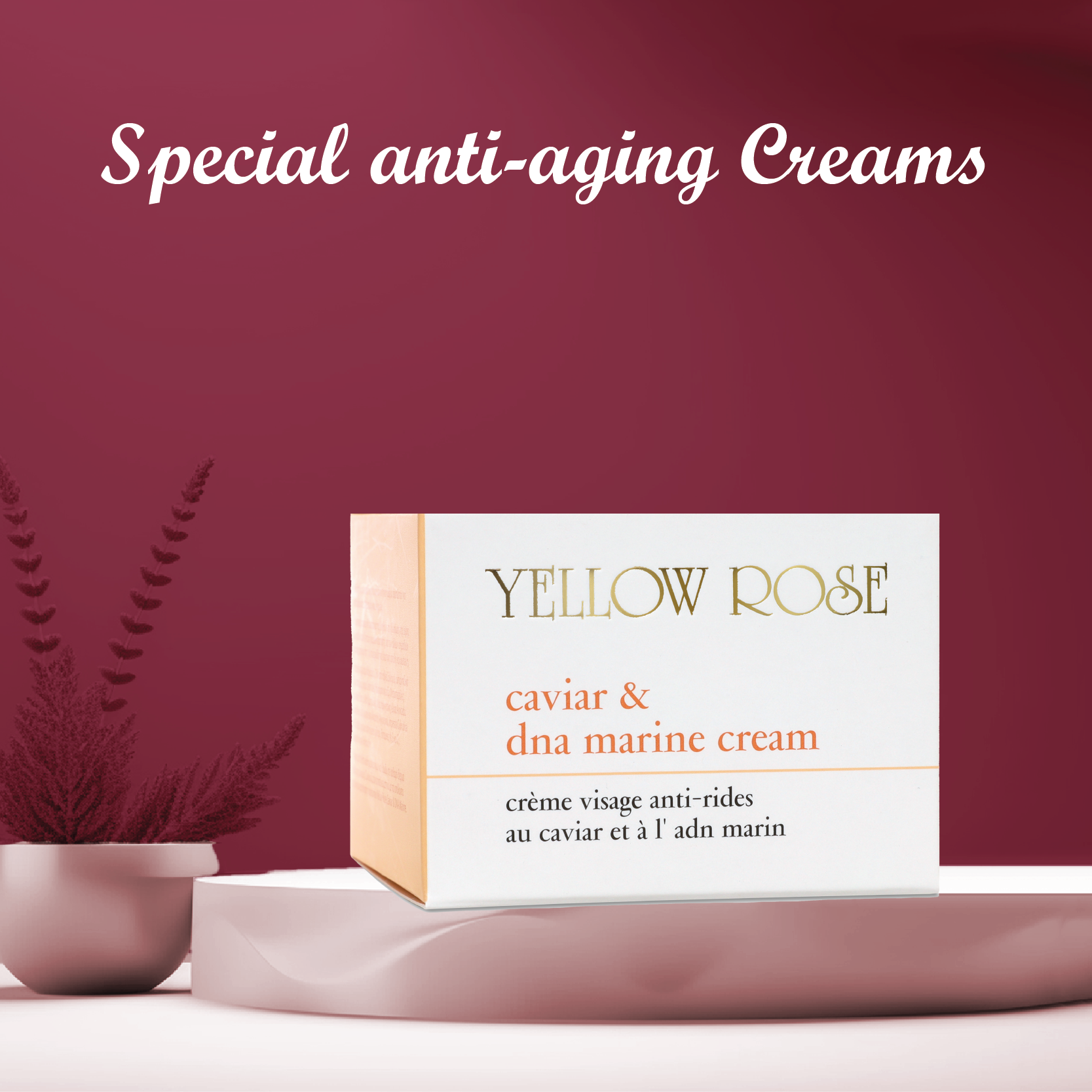 Special anti-aging Creams