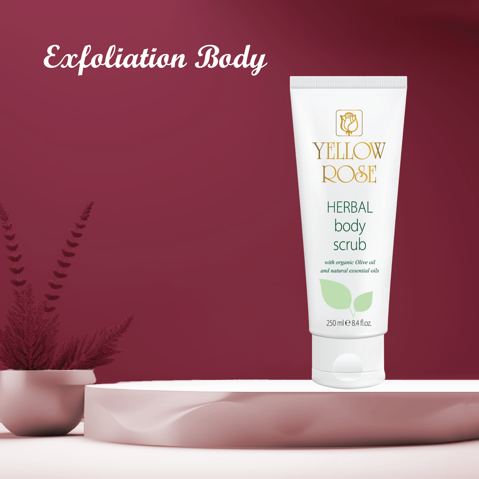Exfoliation Body