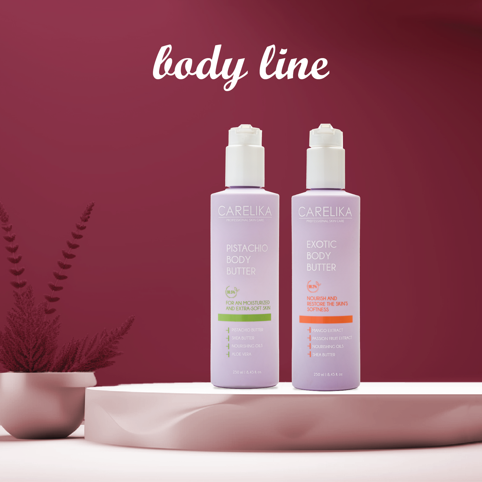 Body Line